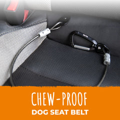 Cinturon Mighty Paw para perro con anclas para coche y seguridad