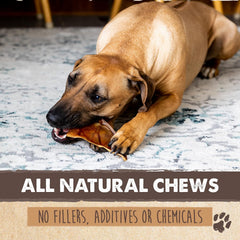 Mighty Paw masticables para perros de todas las edades.