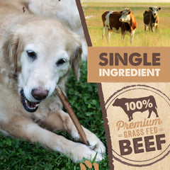 Palitos de res con olor bajo, Mighty Paw Naturals, ideales para perros grandes.