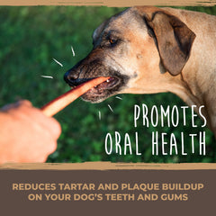 Mighty Paw Naturals Bully Sticks: sin granos y sin gluten, opción natural para perros.