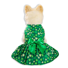 Vestido Miiemiu San Patricio para perro y gato, dorso, ligero y cómodo.