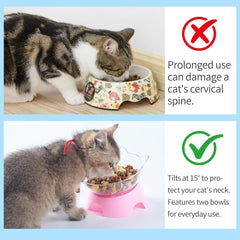 MILIFUN tazones gatos diseno orejas: diseño transparente para vigilar comida y agua.