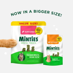 Textura crujiente de Minties para la limpieza dental de gatos