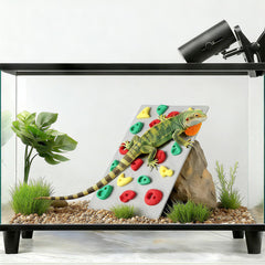 MITCHENIFY placa subida para terrario, ideal para reptiles jóvenes