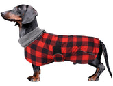 Morezi abrigo impermeable para dachshund, vista frontal, ideal para salidas en lluvia.