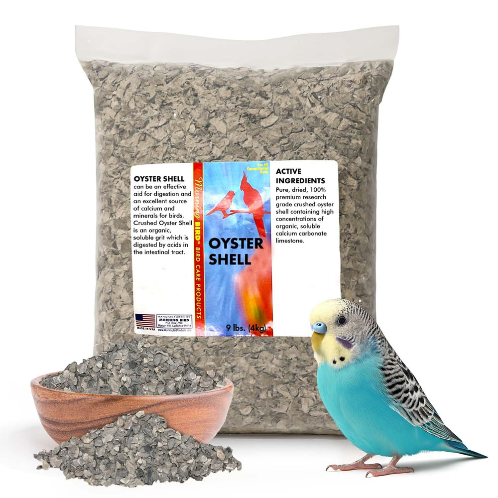 Morning Bird concha de ostra para aves, calcio natural
