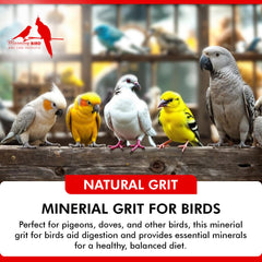 Morning Bird granulado para palomas, bolsa de 18 libras, almacenamiento práctico.