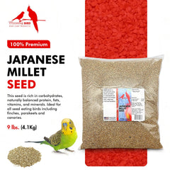 Morning Bird mijo japonés, textura suave que facilita la digestión y el consumo.