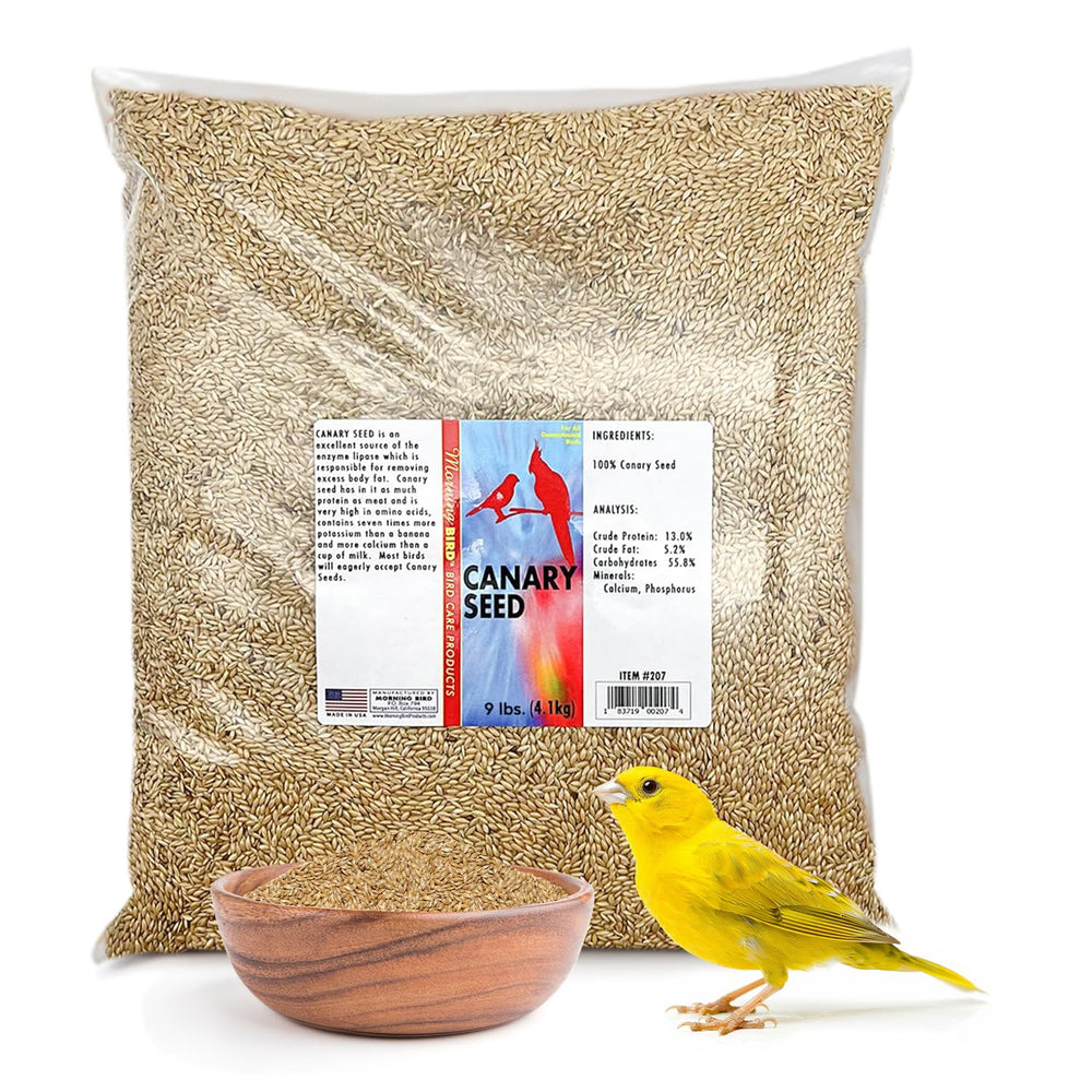 Semilla Morning Bird canario en bolsa de 9 libras para nutrición diaria de aves.