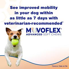 Movoflex frascos de 60 unidades para cuatro meses