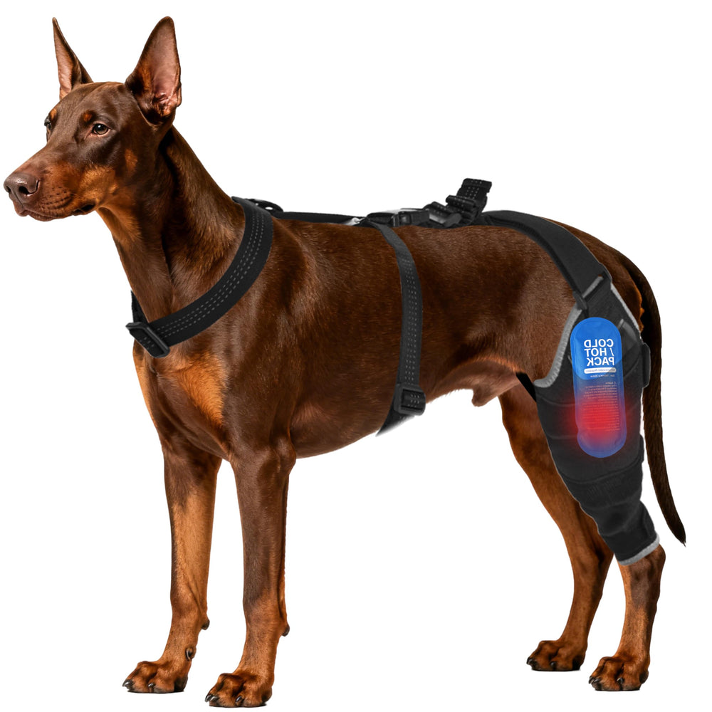 Moysoon rodilla de perro con ajuste ergonómico para mayor comodidad.