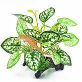 Plantas MRTIOO para terrario con hojas grandes, decoración realista y refugio natural.
