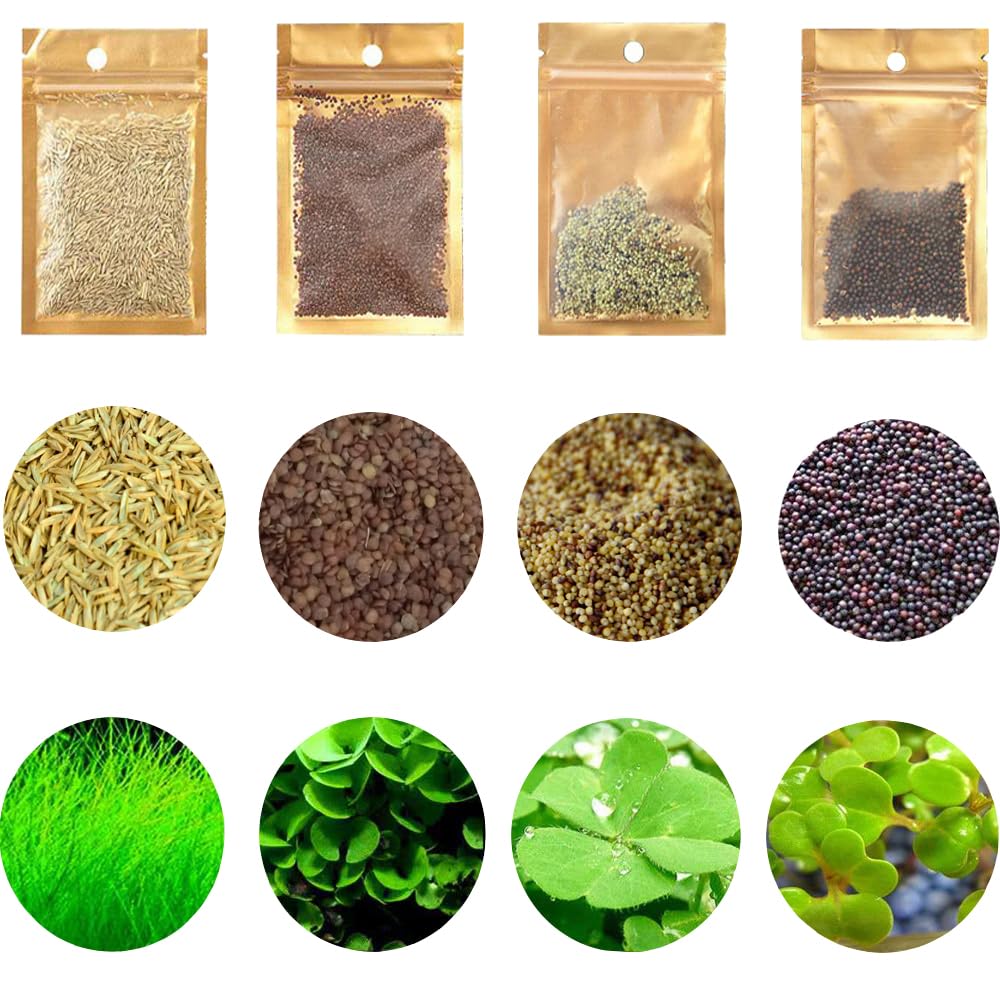 Mysteryhigh plantas de acuario, conjunto de cuatro bolsas para un aspecto natural.