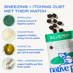 Native Pet Dog Allergy Chews espirulina, fuente de nutrientes para bienestar general.