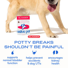 Native Pet Dog UTI Chews close-up showing active cranberry extract and D-Mannose.
