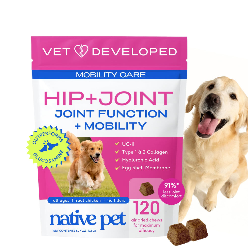 Native Pet Mobility Care muestra la botella para facilitar la administración diaria.