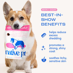 Native Pet Skin & Coat Chews: aceite de salmón omega-3 para pelaje suave.