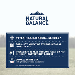 Natural Balance Protección Salud Calabaza: nutrientes para piel y pelaje.