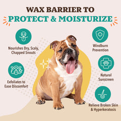 Natural Dog Company Snout Soother contiene aceite de coco para el hocico