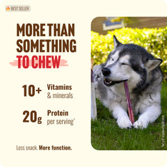 Natural Farm Bully Sticks en empaque de 12 piezas para entrenamiento y premios.