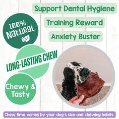 Nature Gnaws orejas de cerdo para perros: alternativa natural y sin gluten para masticación diaria.