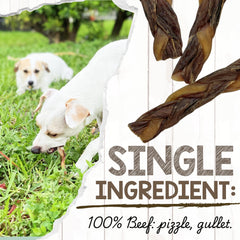 Nature Gnaws paquete de 10 trenzas bully para perros.