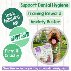 Nature Gnaws trachea de res para perros de todas las edades y tamaños.