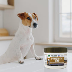 Dogzymes Probiotic Max, etiqueta informativa con uso recomendado y beneficios.
