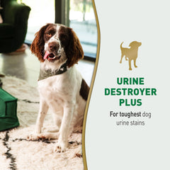 Nature’s Miracle Urine Destroyer Plus – traitement en profondeur des résidus urinaires.