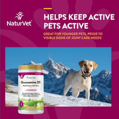 NaturVet Glucosamina DS Nivel 1 envase original y seguro