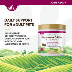 NaturVet Glucosamine DS Plus en mano, fácil de administrar.