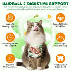 NBTREKTIE Gato de interior, hierba natural en snack para hábitos saludables.