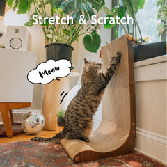Necoichi zona curva para descanso y rascado dirigido.
