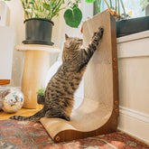 Necoichi muro rasca-gato curvo, protege muebles y promueve rascado correcto.