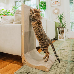 Rascador de pared Necoichi para gatos en interiores, protege muebles y facilita rascar.