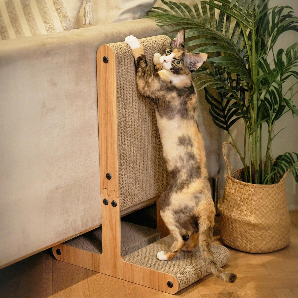 Nekosan rascador para gatos, vista general, solución versátil para arañar y jugar.