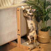 Nekosan rascador para gatos, vista general, solución versátil para arañar y jugar.