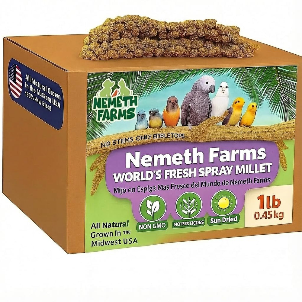 Nemeth Farms mijo en espiga secado al sol para aves
