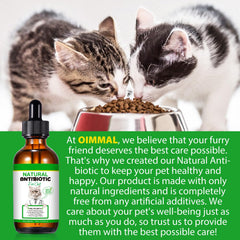 NenMaoKeNu: Ingredientes herbales, mezcla natural para apoyo inmunitario de gatos.