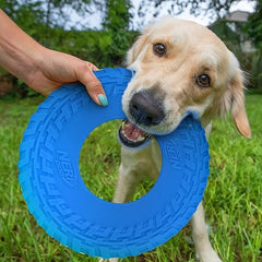 Nerf Dog Disco Volador impermeable para playa o lago.