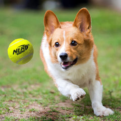 Nerf Dog lanzador permite distancias de hasta 50 pies para juegos al aire libre