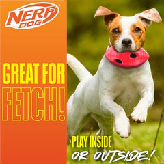 Nerf Dog Futbol, textura exterior rugosa, agarre mejor en mandíbulas.