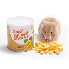 Niteangel calabaza liofilizada: snack nutritivo para roedores que estimula la exploración.