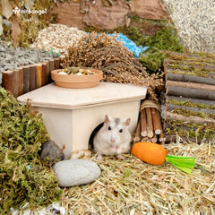 Niteangel hutte hamster semi-ouverte avec grotte, espace securise.