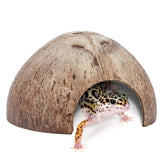Niteangel refugio de coco natural para reptiles, ocultamiento frontal seguro en terrario.
