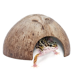 Niteangel refugio de coco natural para reptiles, ocultamiento frontal seguro en terrario.