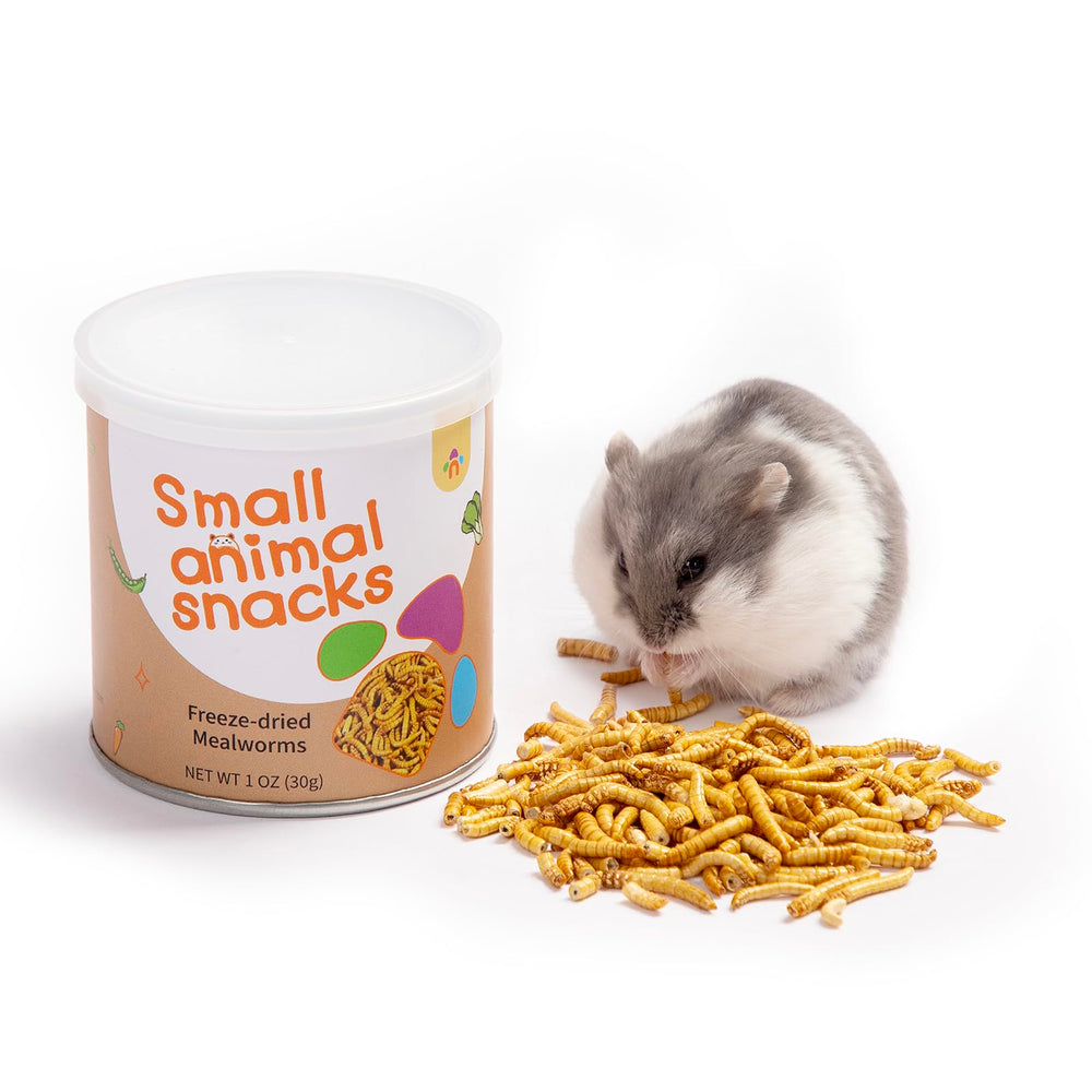 Niteangel snack para hamster: bocado sabroso para enriquecer la dieta diaria.