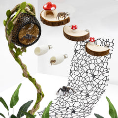 Niuohoy habitat arañas saltarinas para explorar en terrario.