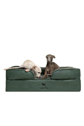 NOAH & PAW cama ortopédica para perro grande, base de espuma que soporta comodidad diaria.