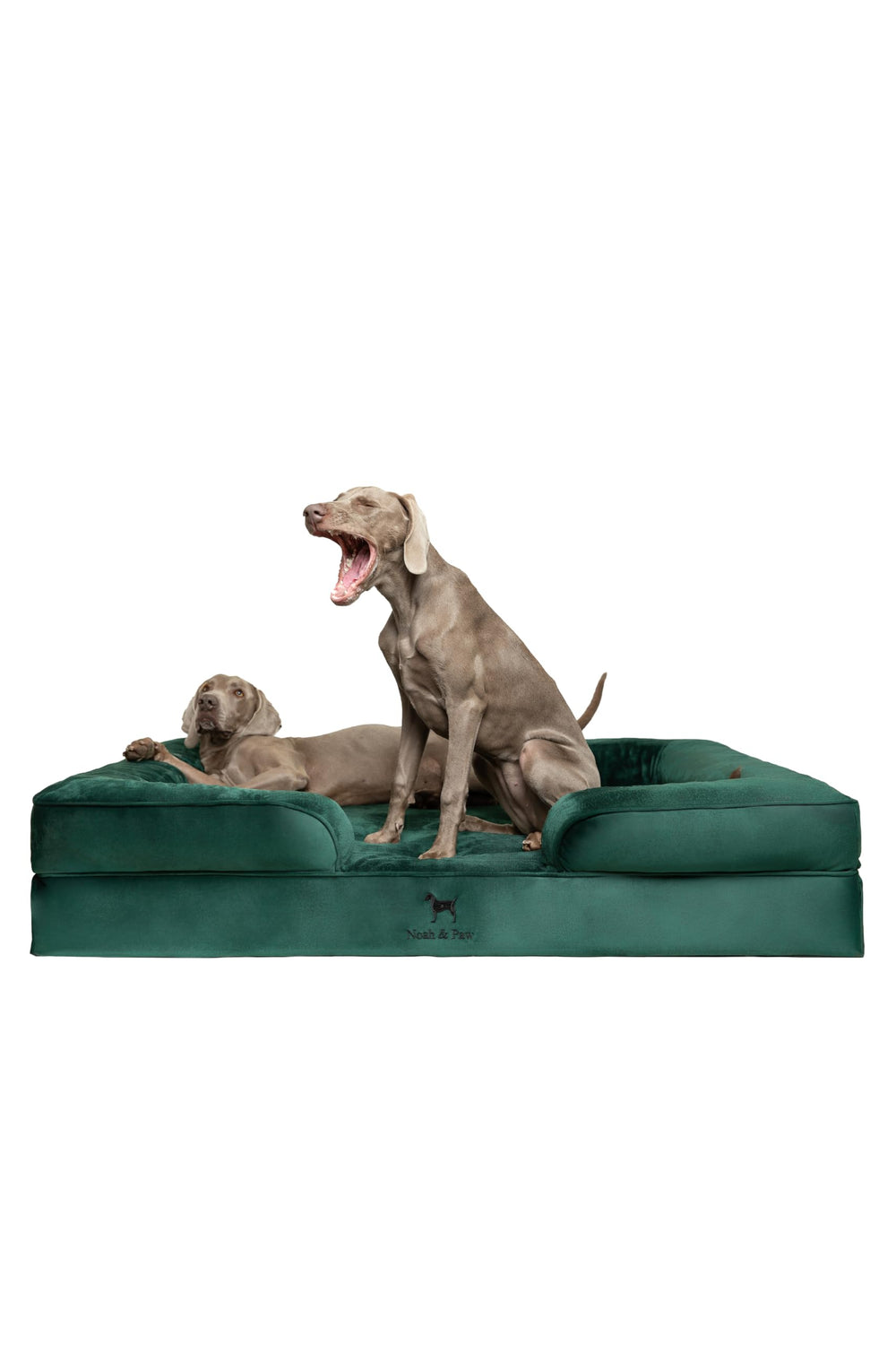 Cama NOAH & PAW para perro gigante XXL, superficie acolchada y cómoda.